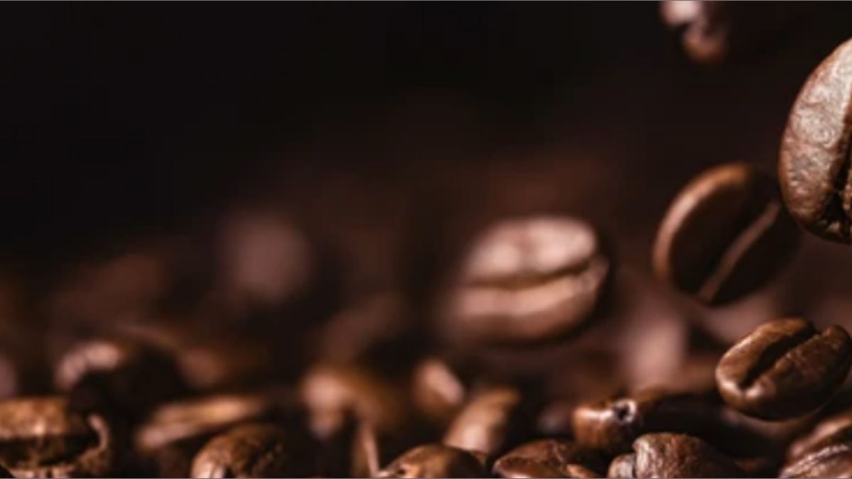 Aroma, gust i experiència